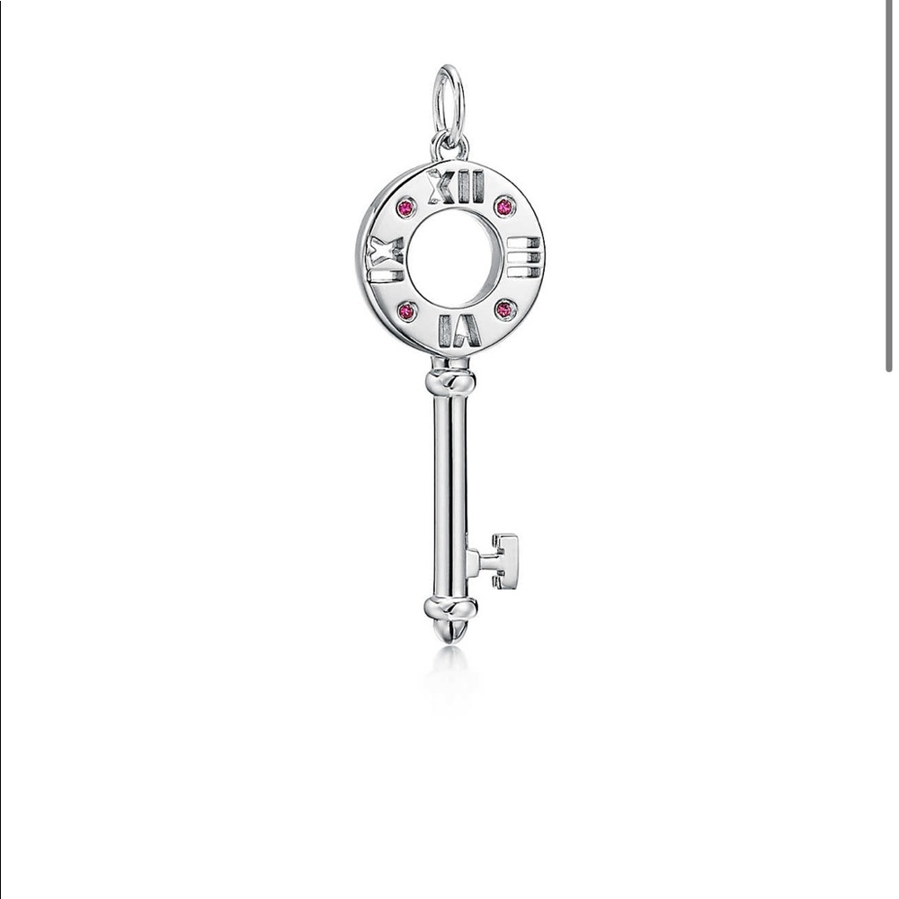 Tiffany & Co. necklace